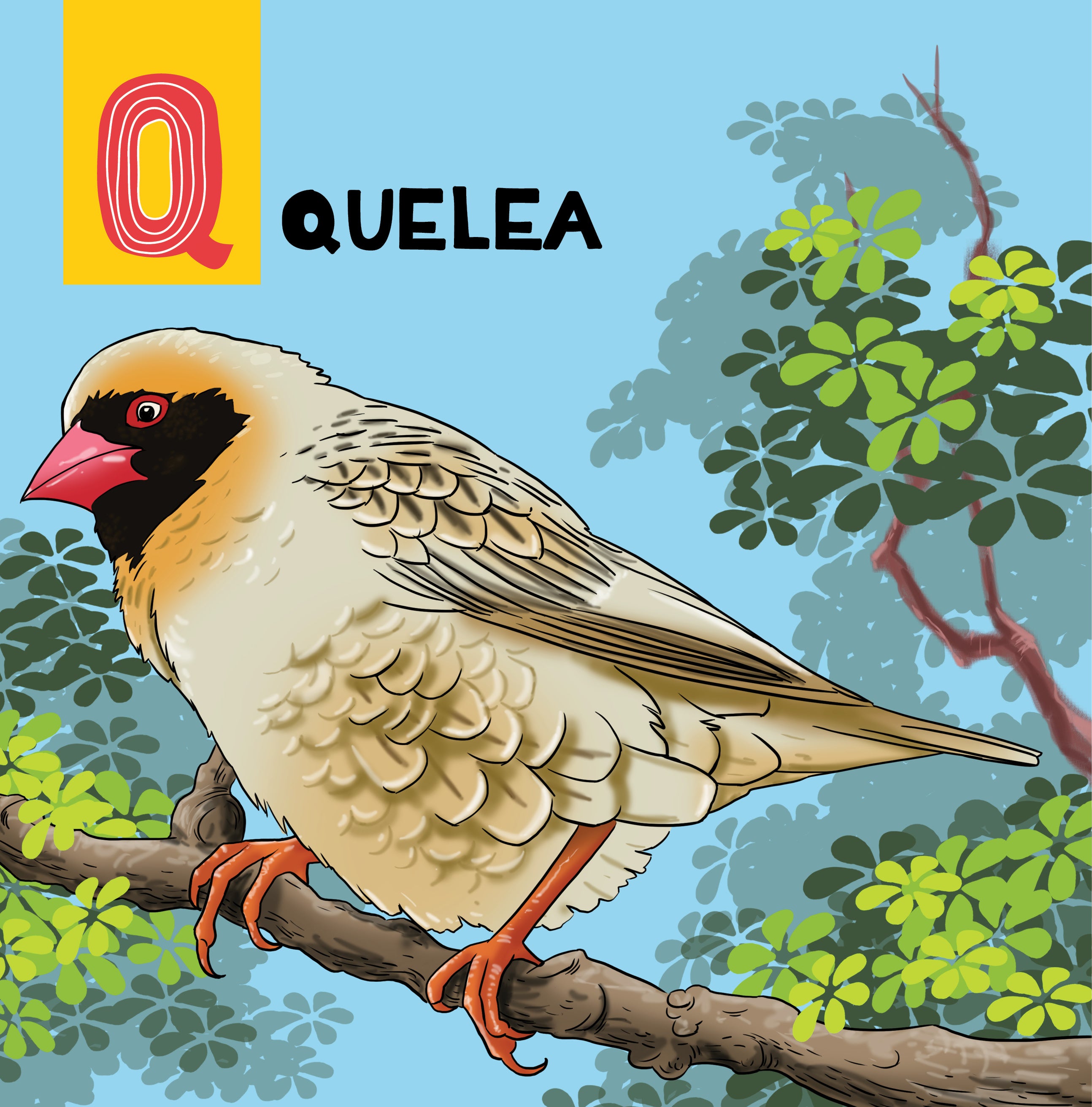 ABC Animaux Africains (Hardcover)