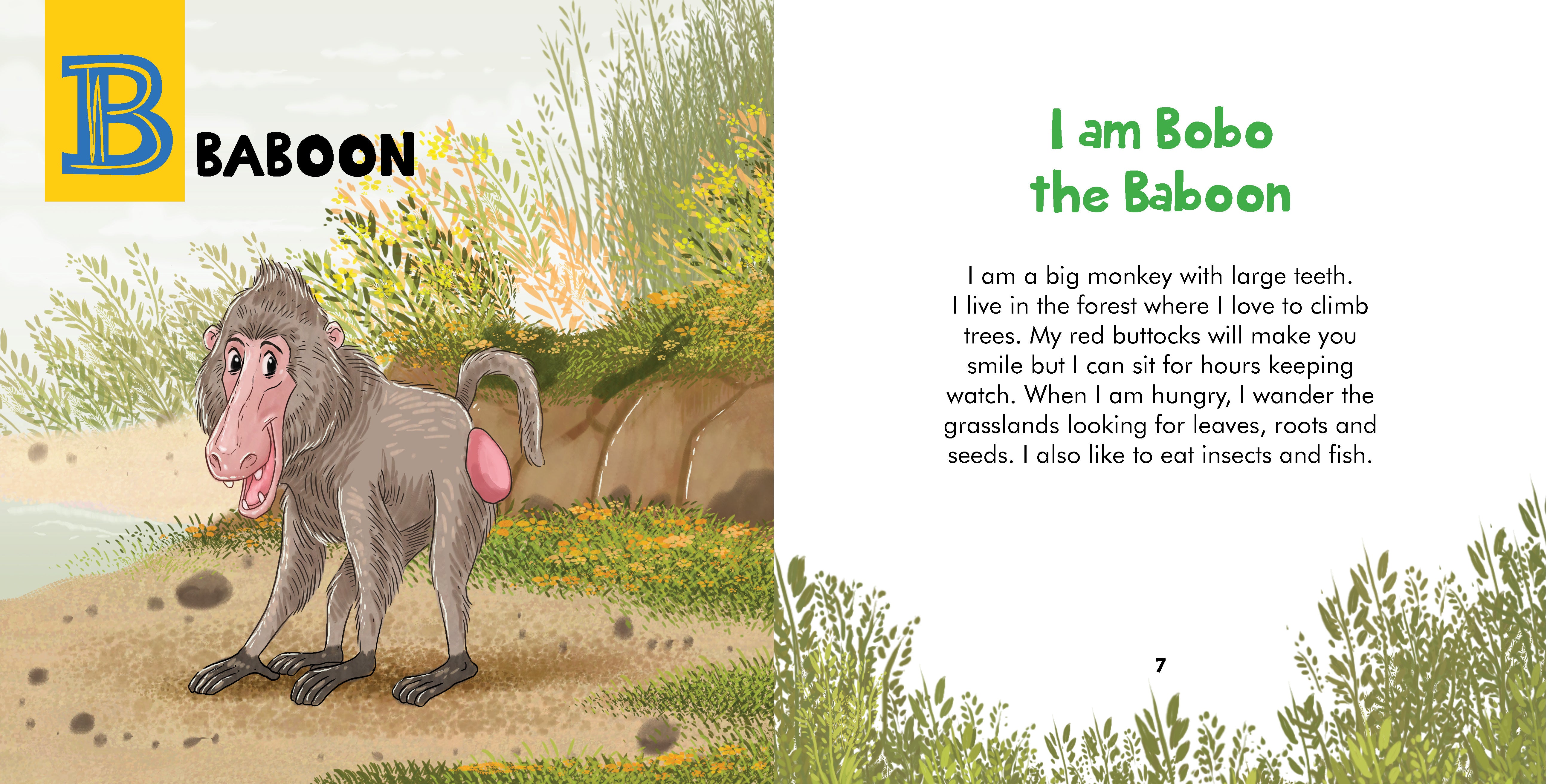 African Animals ABC (Paperback)