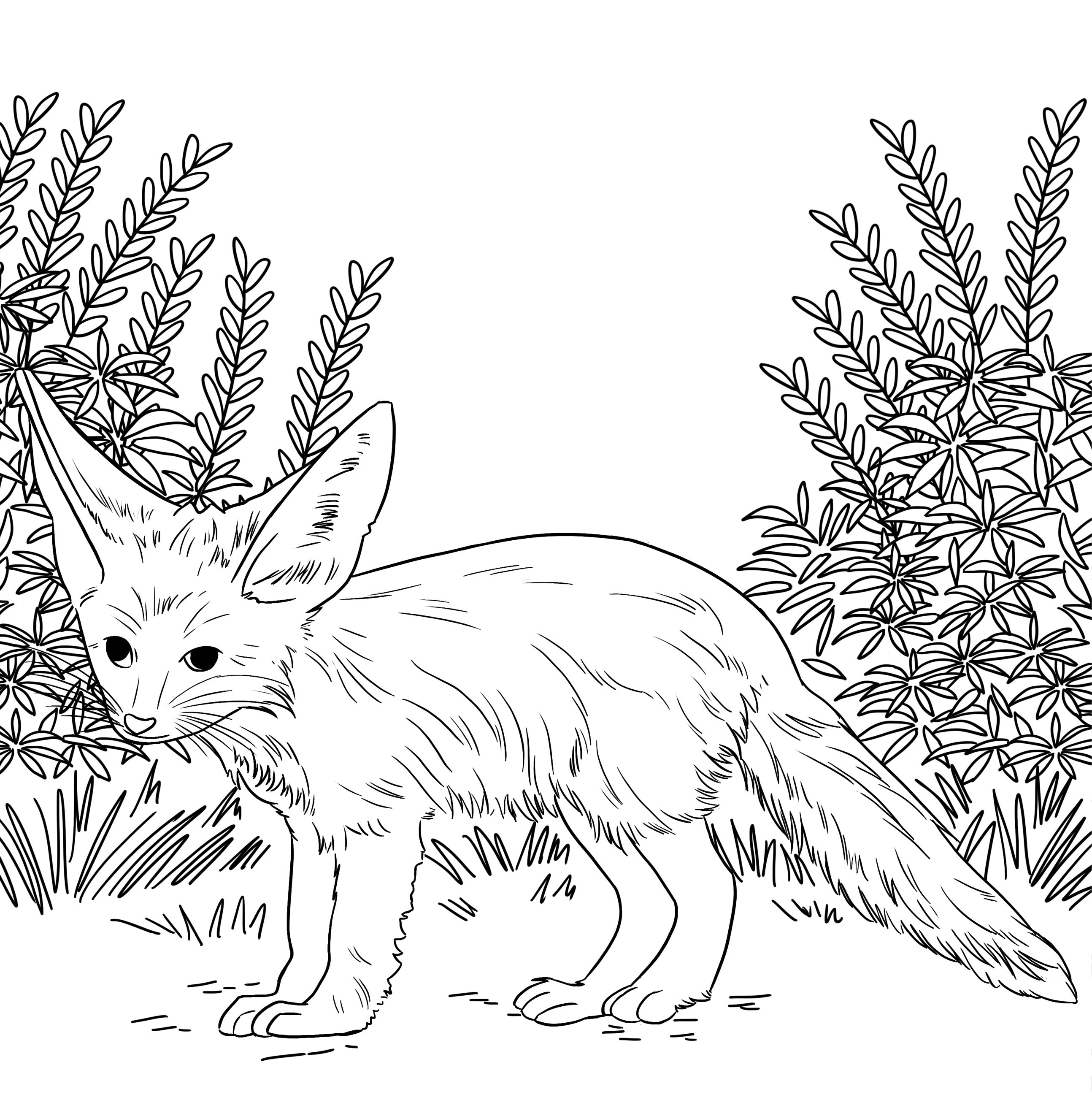 ABC Animaux Africains (Hardcover)