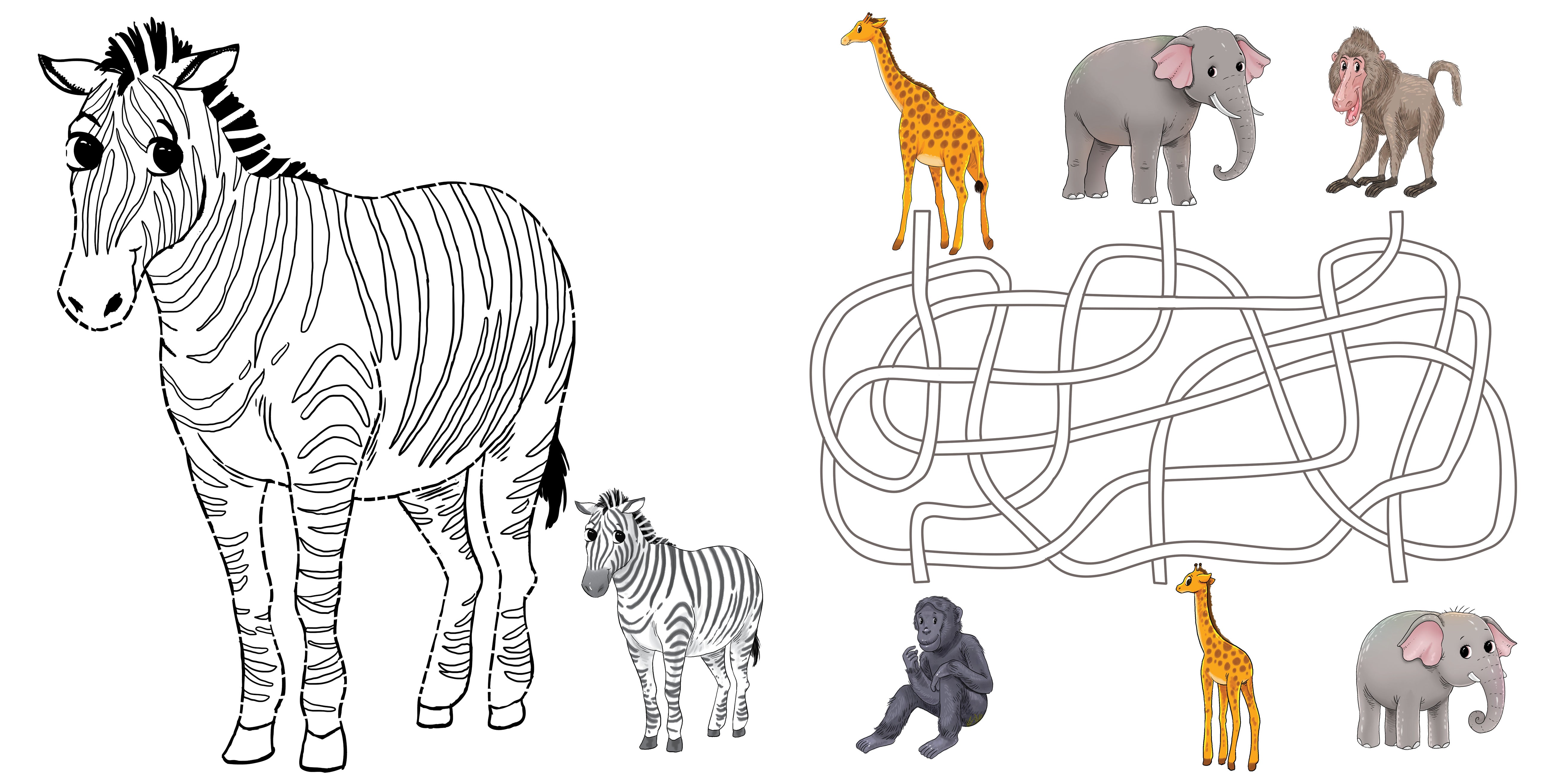 African Animals ABC (Hardcover)