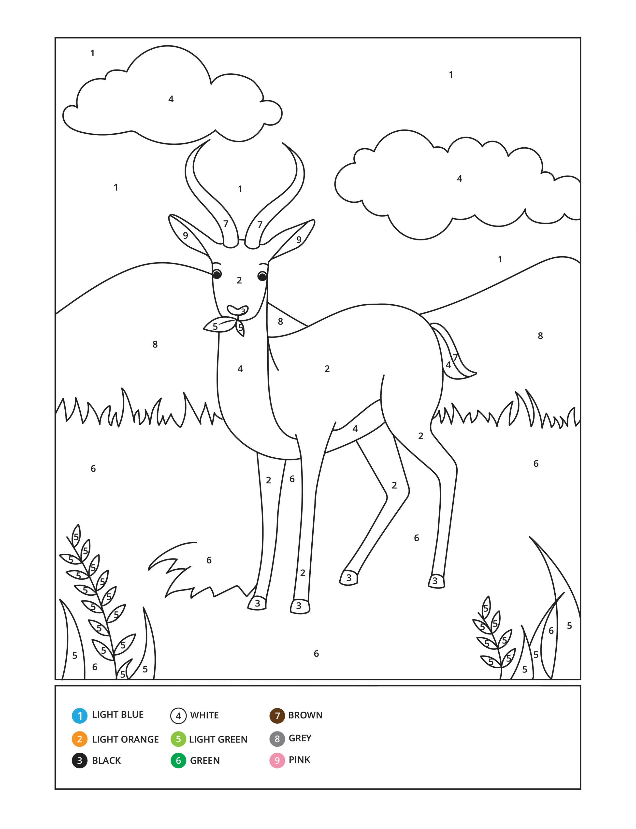 African Animals Color by Number (Paperback)