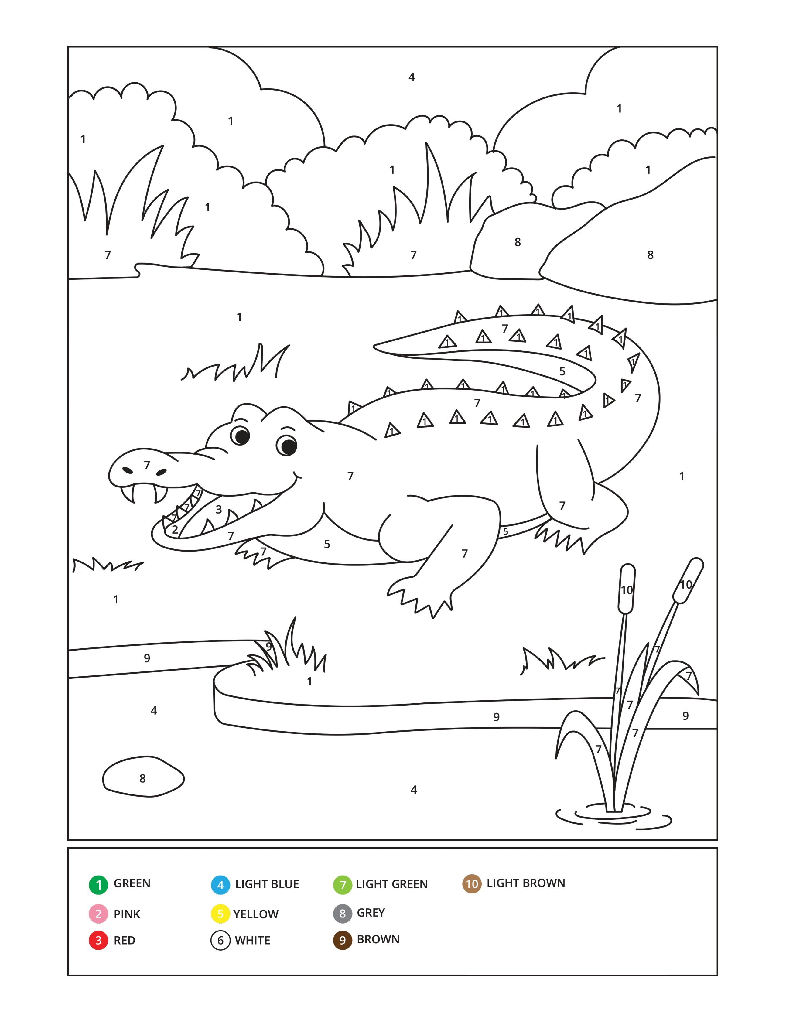 African Animals Color by Number (Paperback)