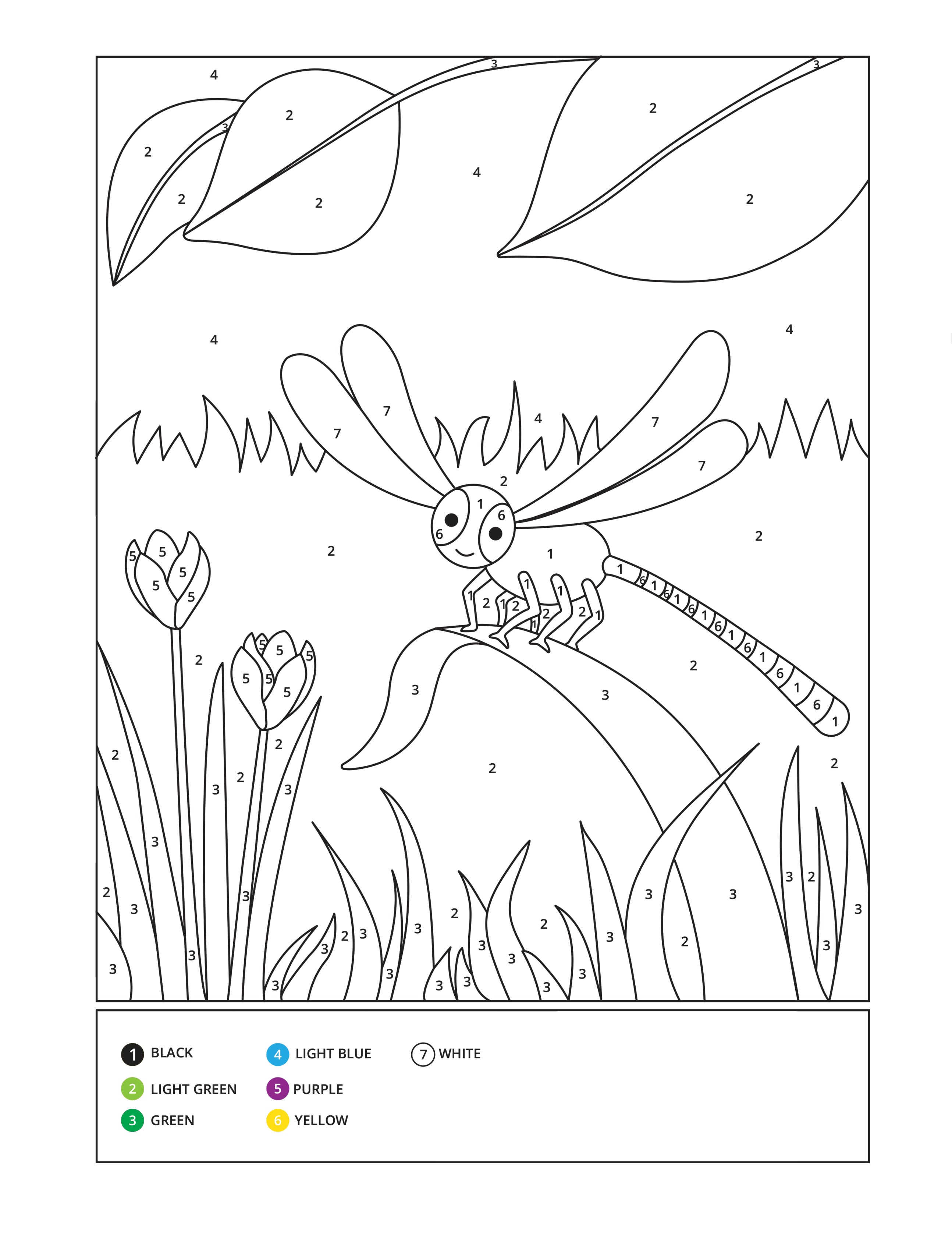 African Animals Color by Number (Paperback)