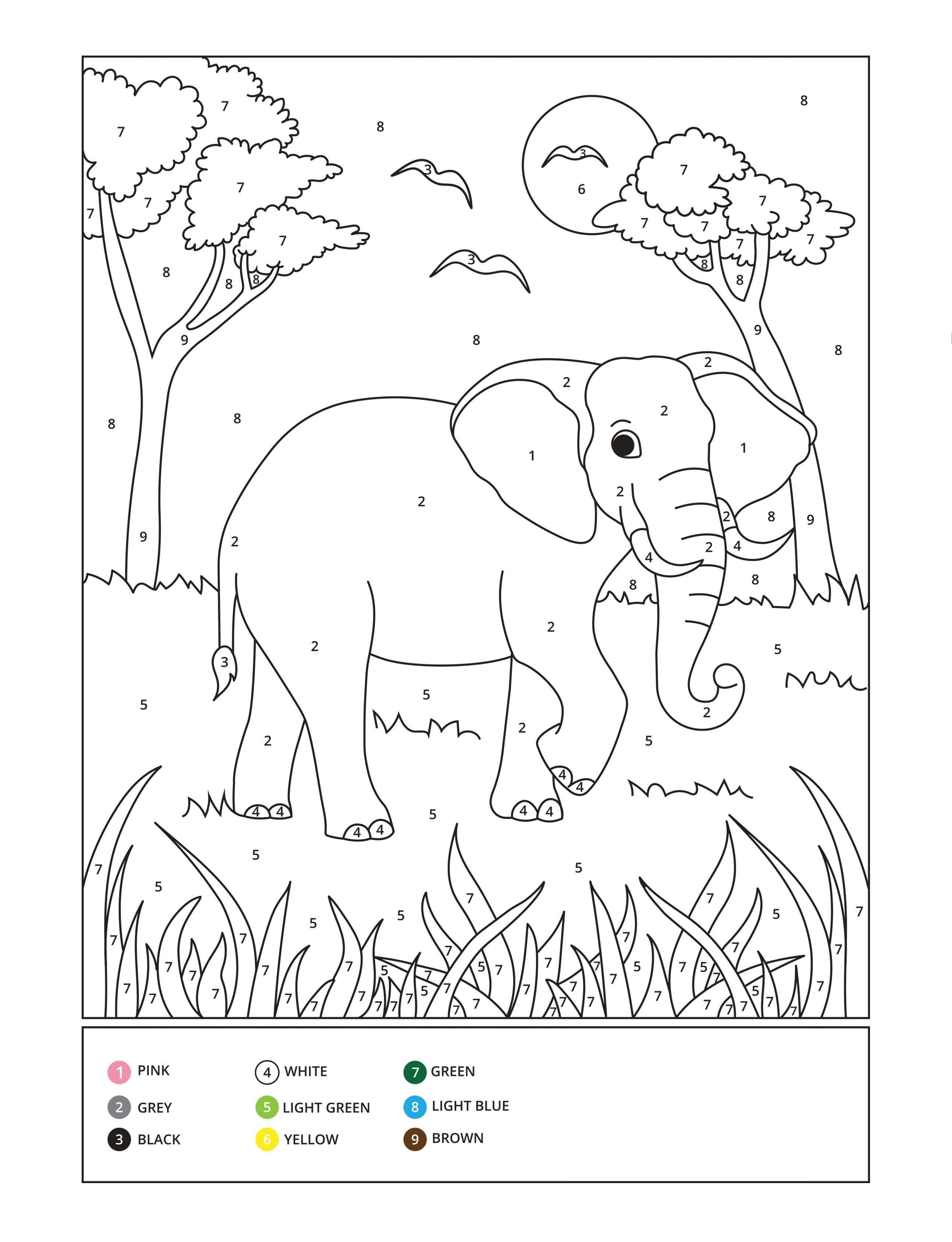 African Animals Color by Number (Paperback)