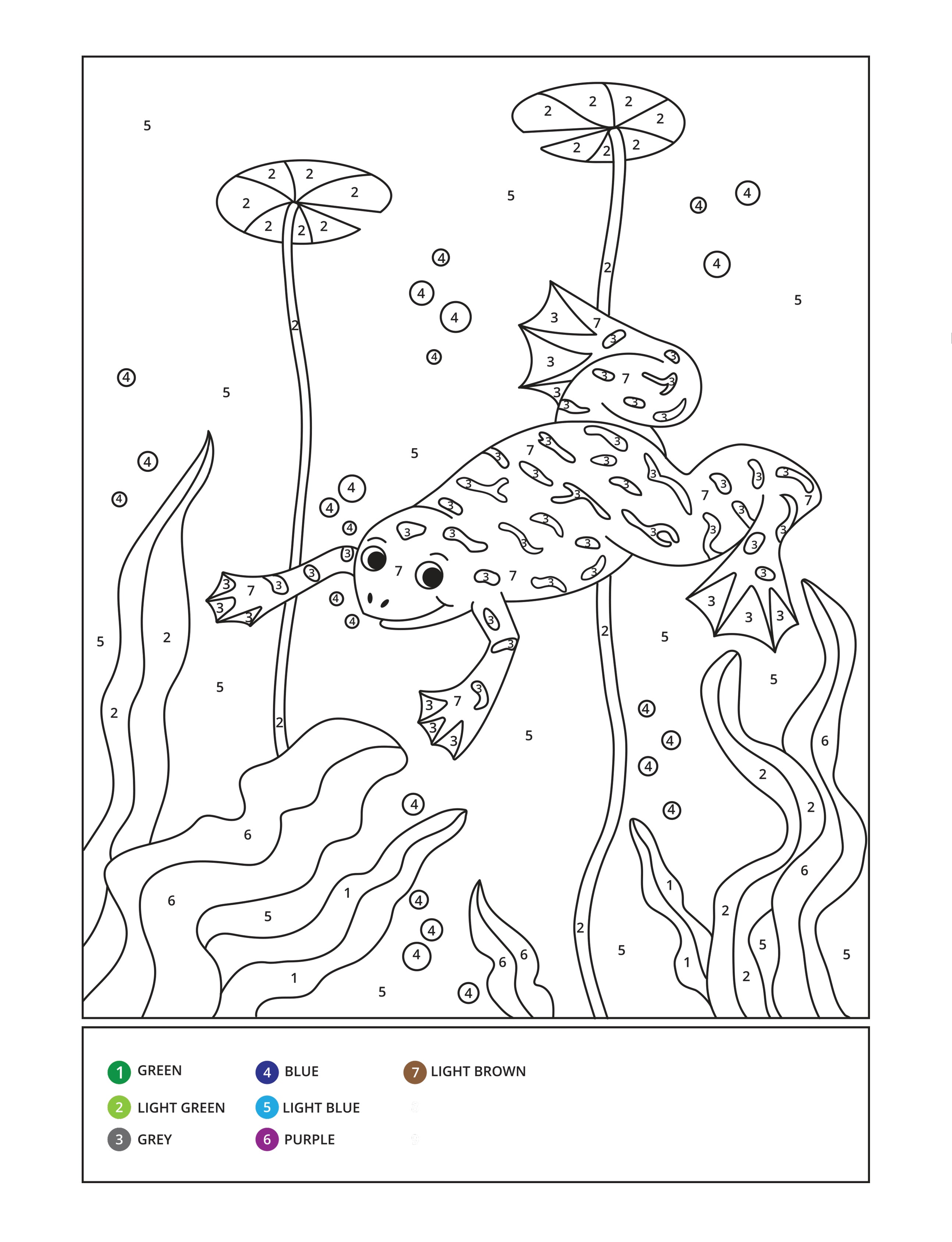 African Animals Color by Number (Paperback)